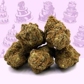 Fleur CBD Wedding Cake Indoor Mama Kana