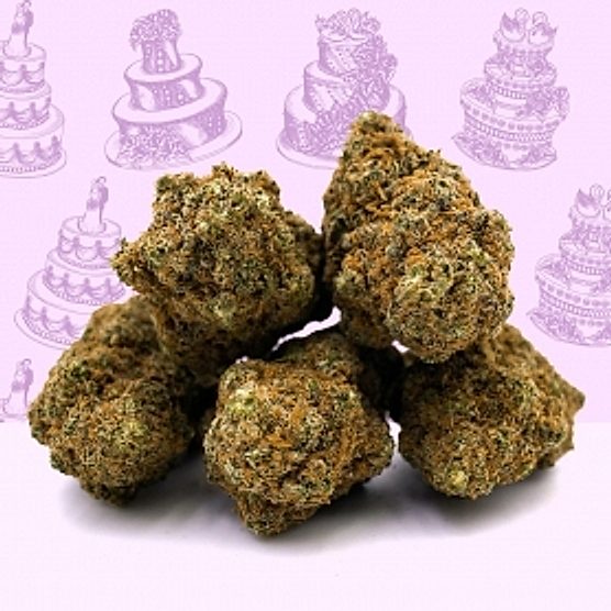 Fleur CBD Wedding Cake Indoor Mama Kana Fleur CBD Wedding Cake Indoor Mama Kana