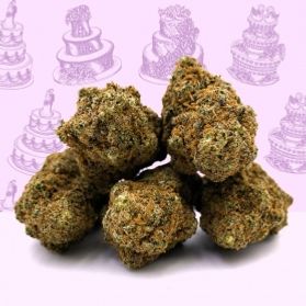 Fleur CBD Wedding Cake Indoor Mama Kana Fleur CBD Wedding Cake Indoor Mama Kana