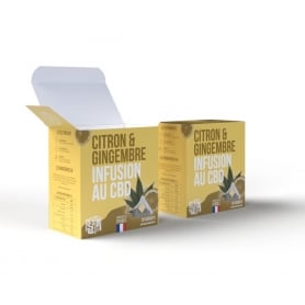 Infusettes Bio Citron Gingembre 20pcs Tizz Stilla