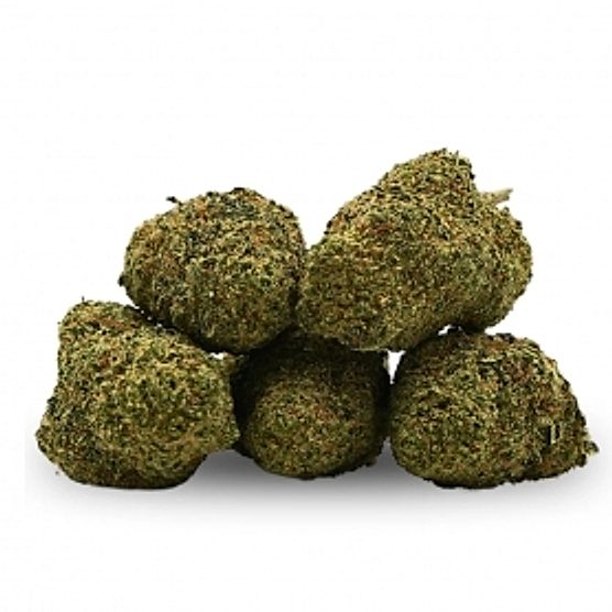 Fleur CBD L.A Cali Hydroponique Mama Kana Fleur CBD L.A Cali Hydroponique Mama Kana