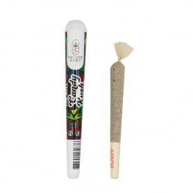 Pre roll CBD Candy Kush 1g - Nature & CBD