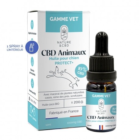 Huile CBD Animaux Protect+ pour chien 10% Nature & CBD