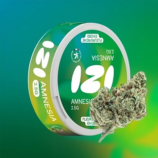 Fleur de CBD Amnesia IZI Fleur de CBD Amnesia IZI