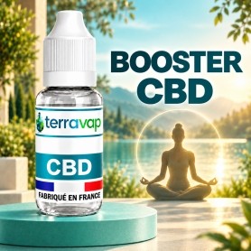 Booster CBD 2000mg - Terravap
