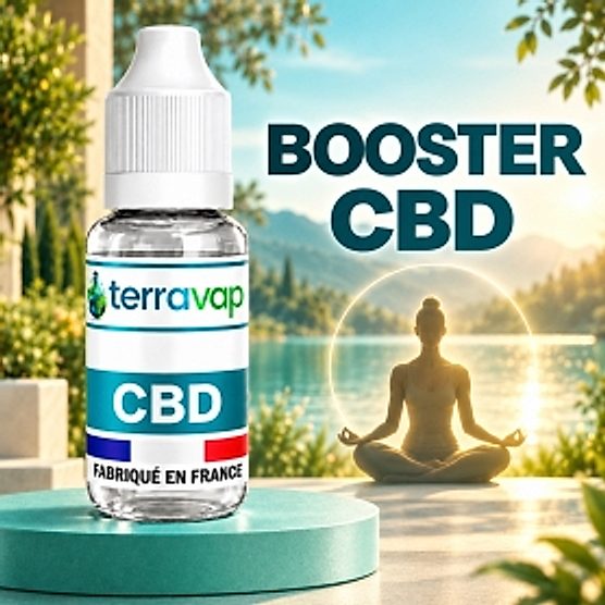 Booster CBD 2000mg Terravap Booster CBD 2000mg Terravap