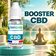 Booster CBD 2000mg - Terravap