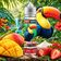 E-liquide Toucan 50ml