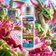 E-liquide Fruit du dragon 50ml