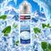 E-liquide Igloo givré 50ml