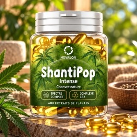 Capsules Liquides Intense Complexe CB2 et Spectre Complet - Novaloa
