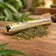 Pre roll CBD Critical 1g - Mama Kana