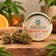 Fleur CBD Orange Bud Greenhouse - Mama Kana