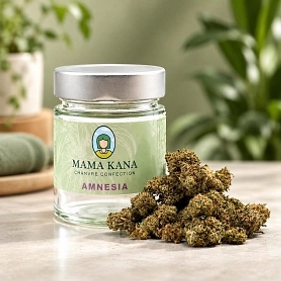 Fleur CBD Amnesia Greenhouse small bud Mama Kana Fleur CBD Amnesia Greenhouse small bud Mama Kana