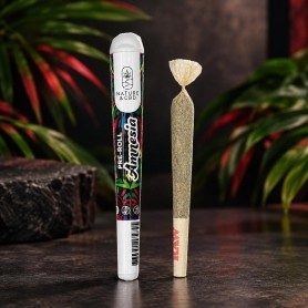 Pre roll CBD Amnesia 1g - Nature & CBD