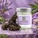Fleur CBD Purple Haze Indoor - Mama Kana