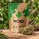 Fleur Orange Bud CBD Greenhouse - MCBD