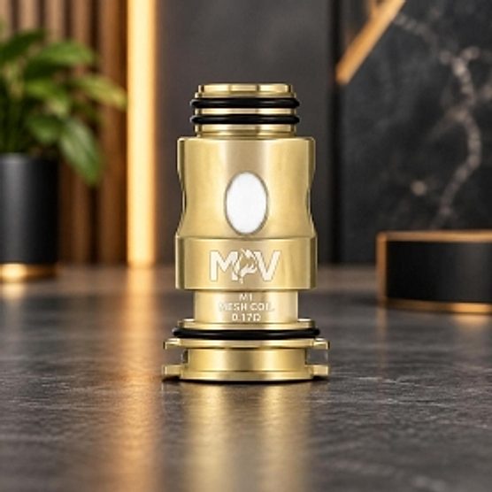 Résistance B 0.3 ohm MPV