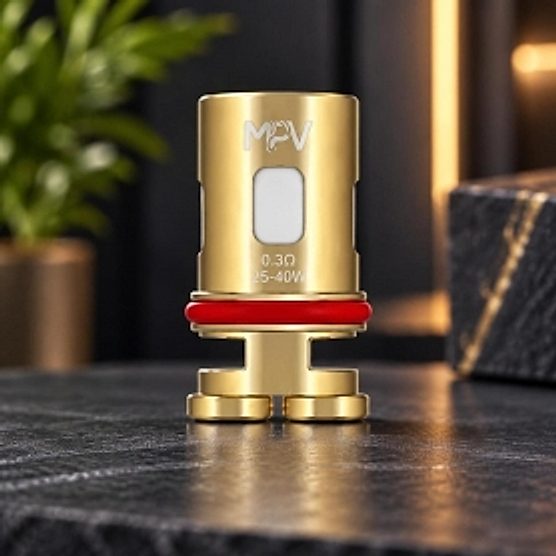 Résistance VM1 0.3 ohm MPV