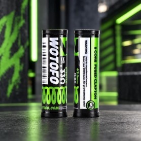Coils Ni80 5 Core Fused Clapton 0.33 ohm - Wotofo