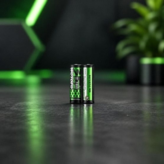 Résistances Alien Wire 10 pcs 0.22 ohm Wotofo Résistances Alien Wire 10 pcs 0.22 ohm Wotofo