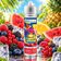 E-liquide Cocktail 50ml - Terravap