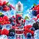 E-liquide Cool dog 50ml - Terravap