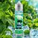 E-liquide Cool mint 50ml - Terravap