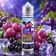 E-liquide Night witch 50ml - Terravap