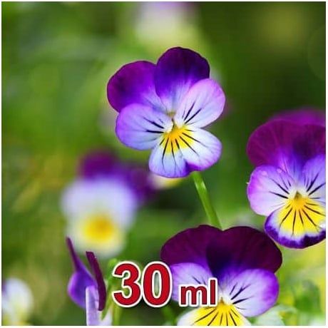 Arôme violette pour liquide Do It Yourself