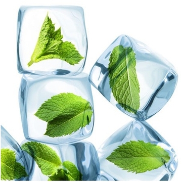 E-liquide menthe glaciale reverse, un e-liquide très menthe