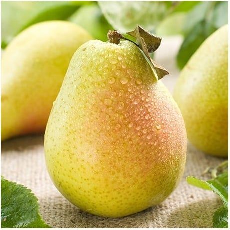 E-liquide poire fruité