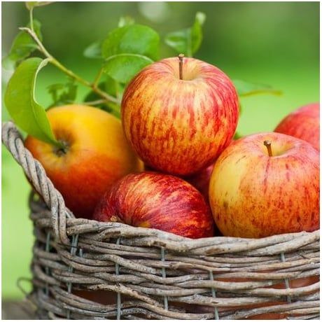 E-liquide pomme