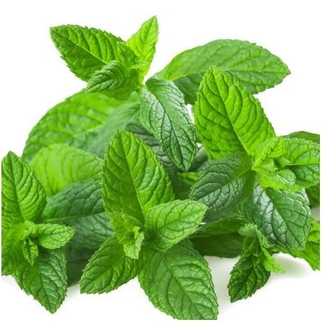 E-liquide tabac menthol