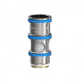 Résistance Guroo 0.3 ohm