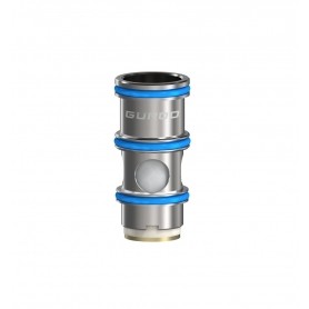 Résistance Guroo 0.15 ohm de Aspire