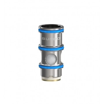 Résistance Guroo 0.15 ohm de Aspire