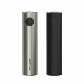 Batterie Exceed D19