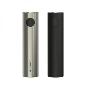 Batterie Exceed D19