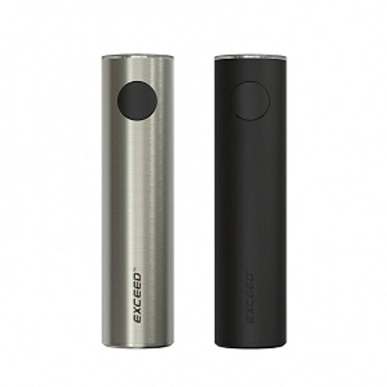 Batterie Exceed D19