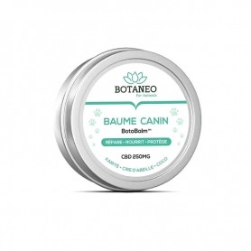 Baume CBD pour chiens 250mg Botaneo