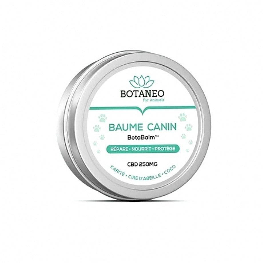 Baume CBD pour chiens 250mg Botaneo