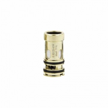 Résistance DotCoil DotAIO 0.3 ohm Dotmod