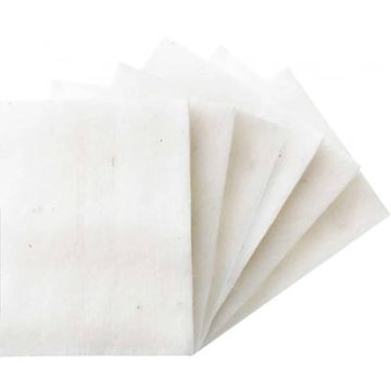 Coton bio japonais feuilles