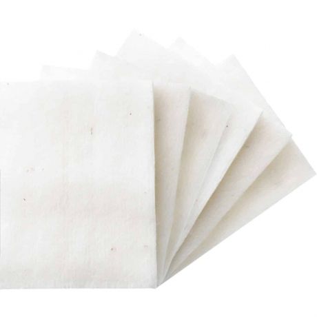 Coton bio japonais feuilles