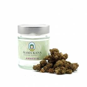 Fleur CBD Amnesia Greenhouse small bud Mama Kana Fleur CBD Amnesia Greenhouse small bud Mama Kana