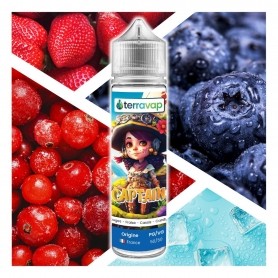 E-liquide Captain 50ml Terravap