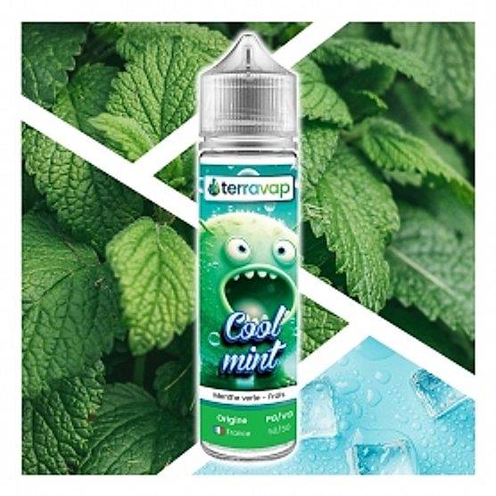 E-liquide Cool mint 50ml Terravap E-liquide Cool mint 50ml Terravap