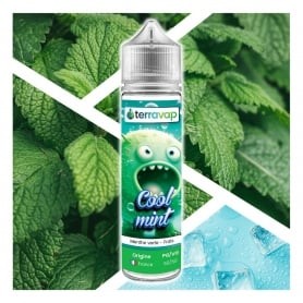 E-liquide Cool mint 50ml Terravap