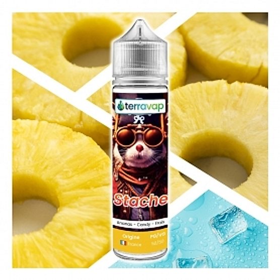 E-liquide Stache 50ml Terravap E-liquide Stache 50ml Terravap